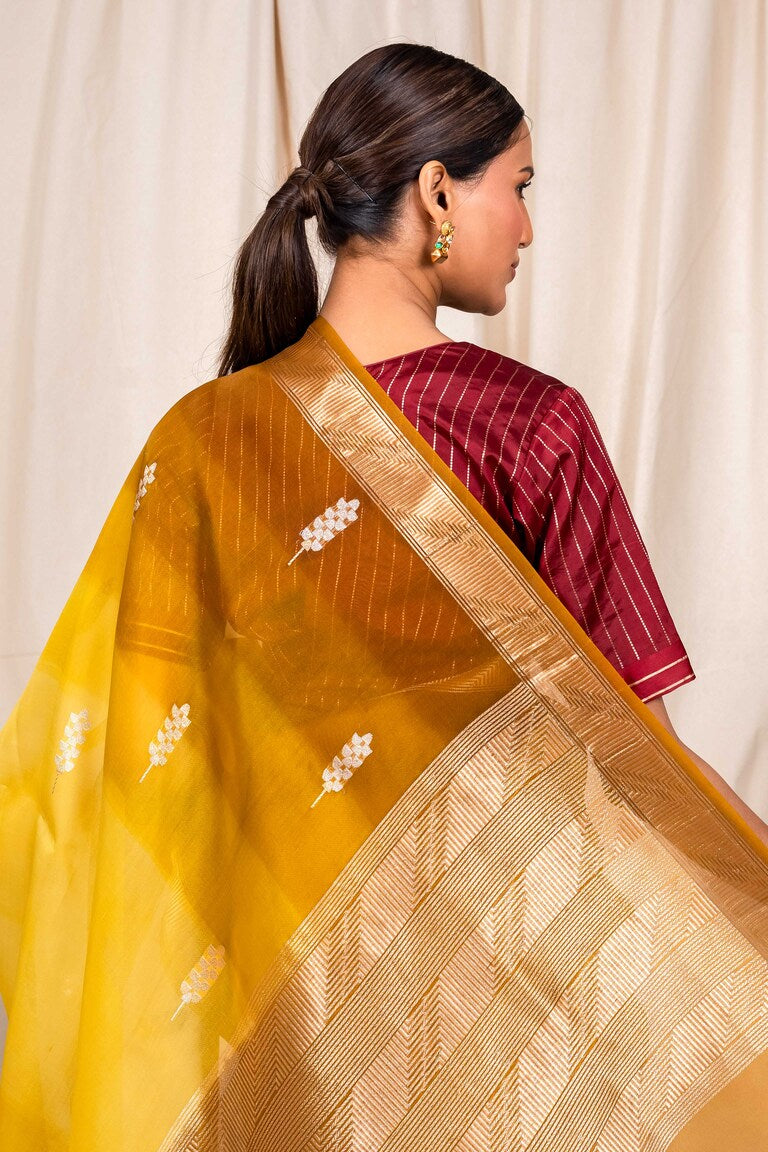 Gold Organza Silk Handwoven Banaras Saree