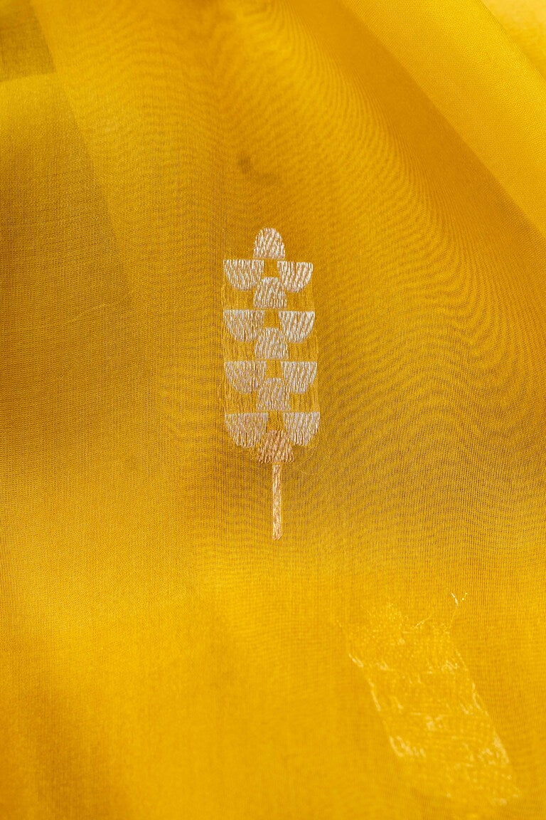Gold Organza Silk Handwoven Banaras Saree