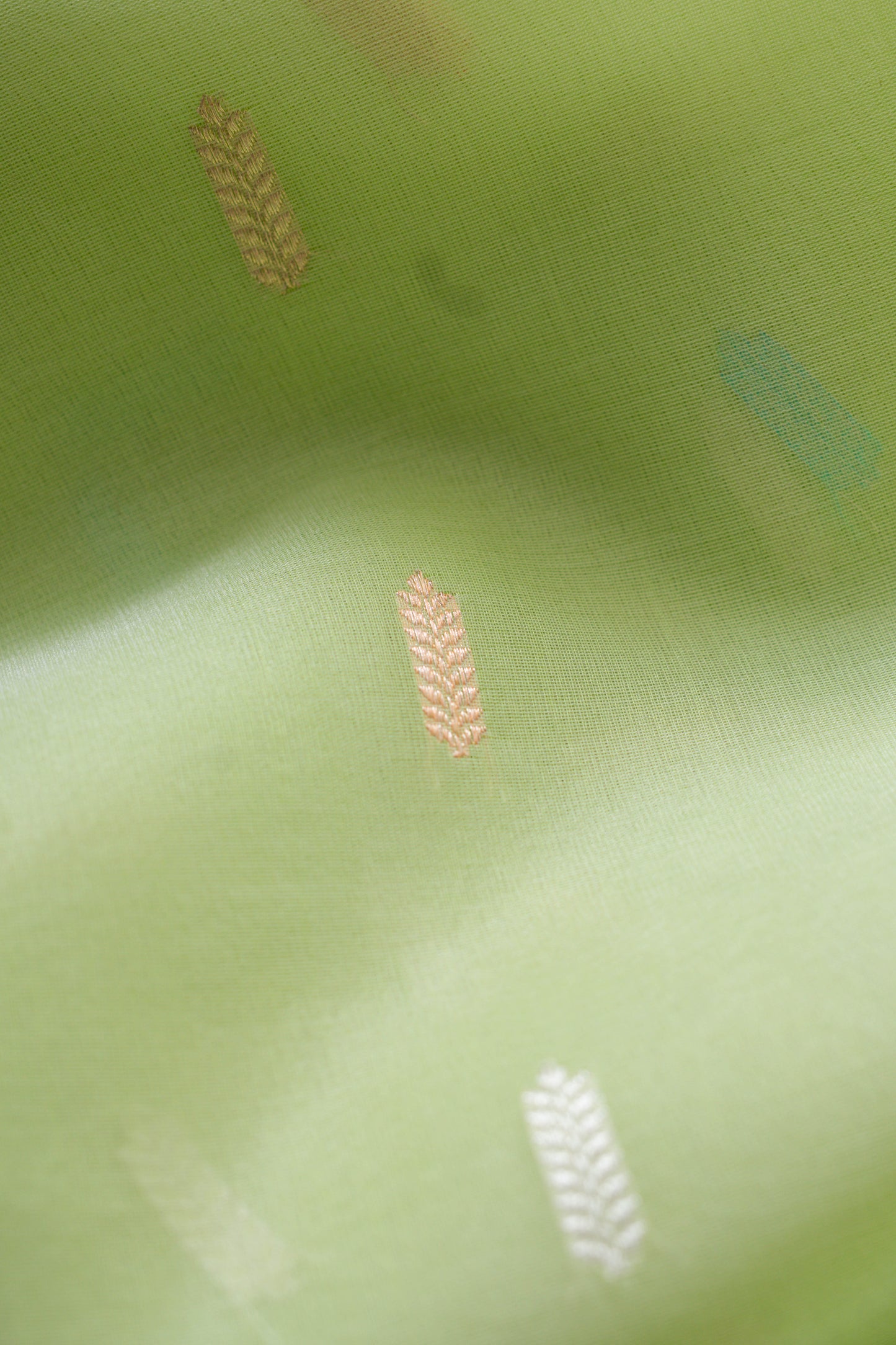 Lime Green Organza Handwoven Banaras Saree