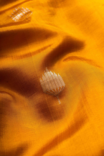 Mustard Soft Silk Banaras Handwoven Banaras Saree