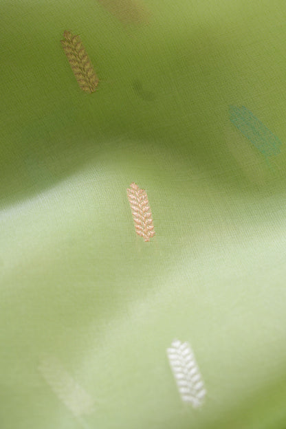 Lime Green Organza Handwoven Banaras Saree