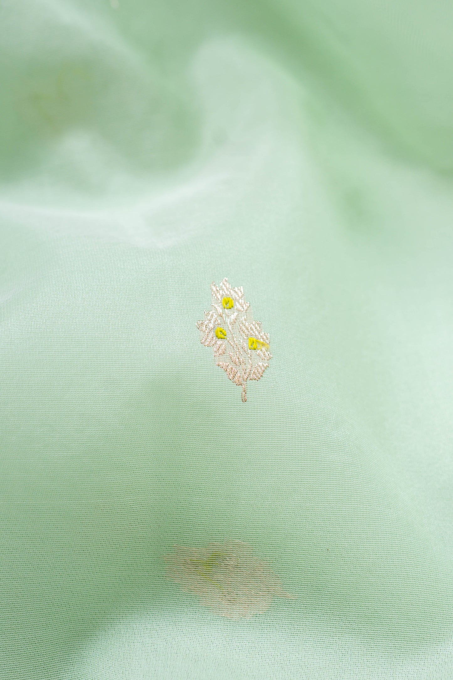 Sea Green Organza Banarasee Handwoven Saree