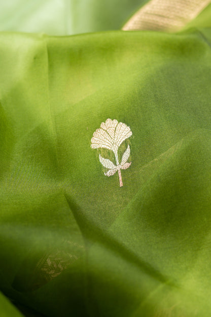 Pista Green Organza Handwoven Banaras Saree